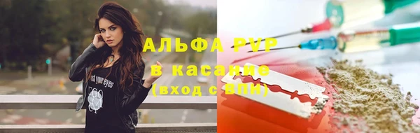 дживик Переславль-Залесский