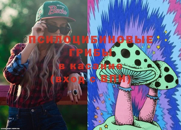 марки lsd Пересвет