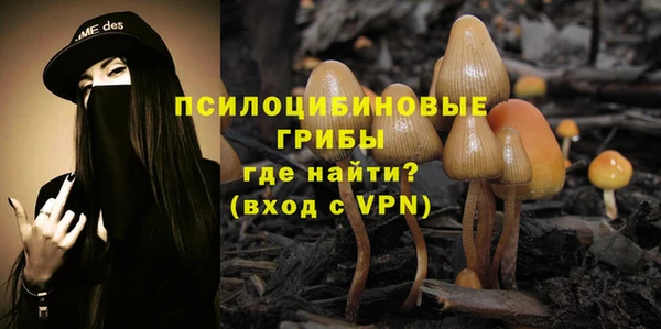 марки lsd Пересвет