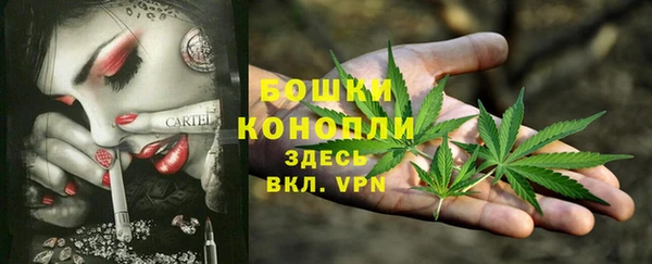 дживик Переславль-Залесский