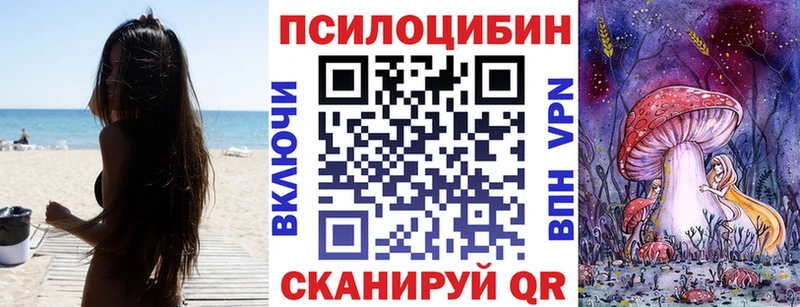 OMG зеркало Пучеж Псилоцибиновые грибы мухоморы