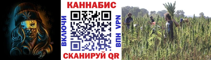 Конопля план  Пучеж 